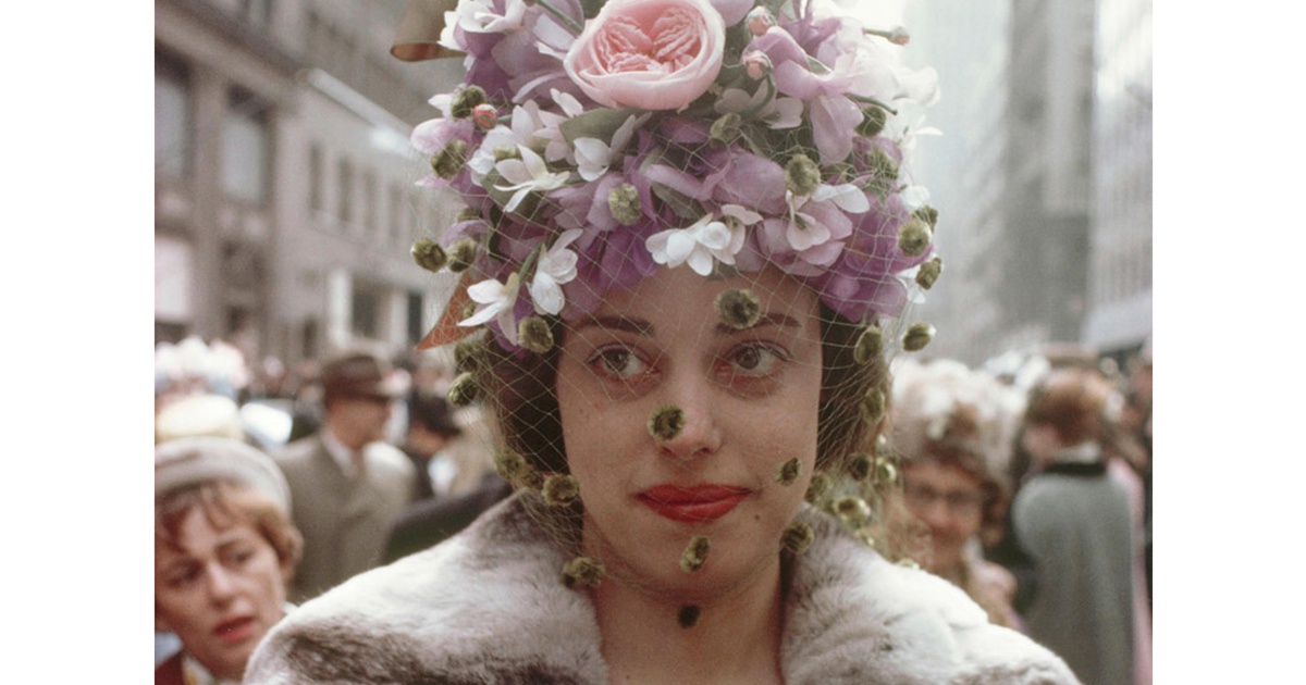 Publication: Wild flowers - Joel Meyerowitz | Galeria Alta